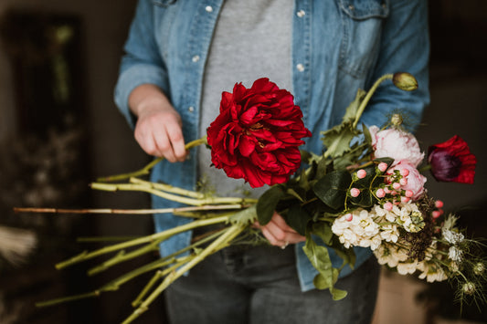 How To Look After Peonies This Season