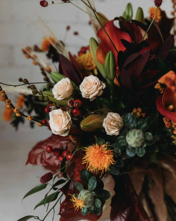 The Autumn Collection