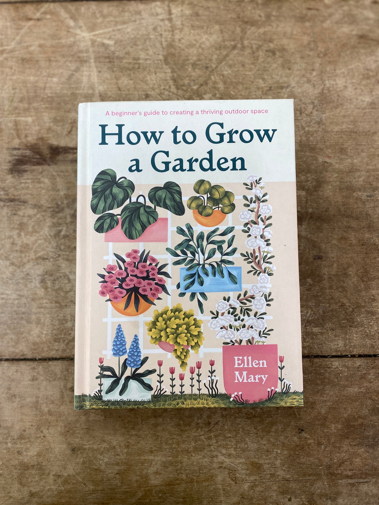 How To Grow a Garden