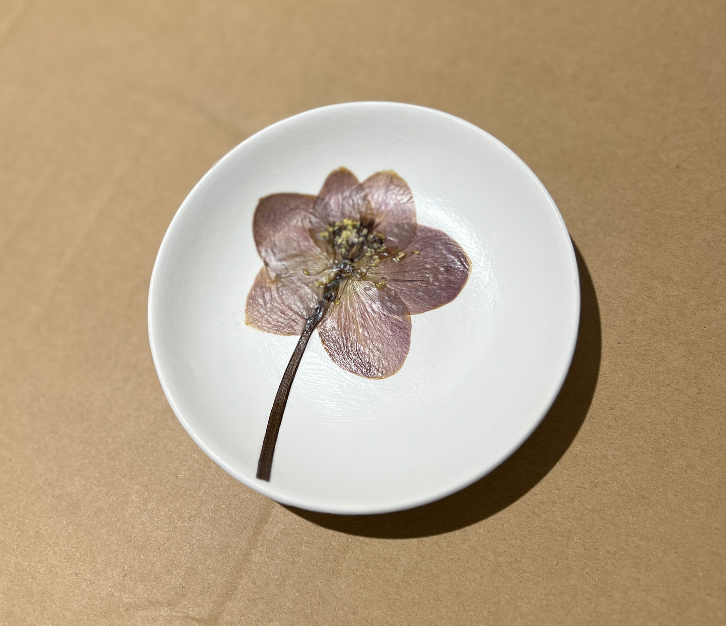 LF Trinket Dish