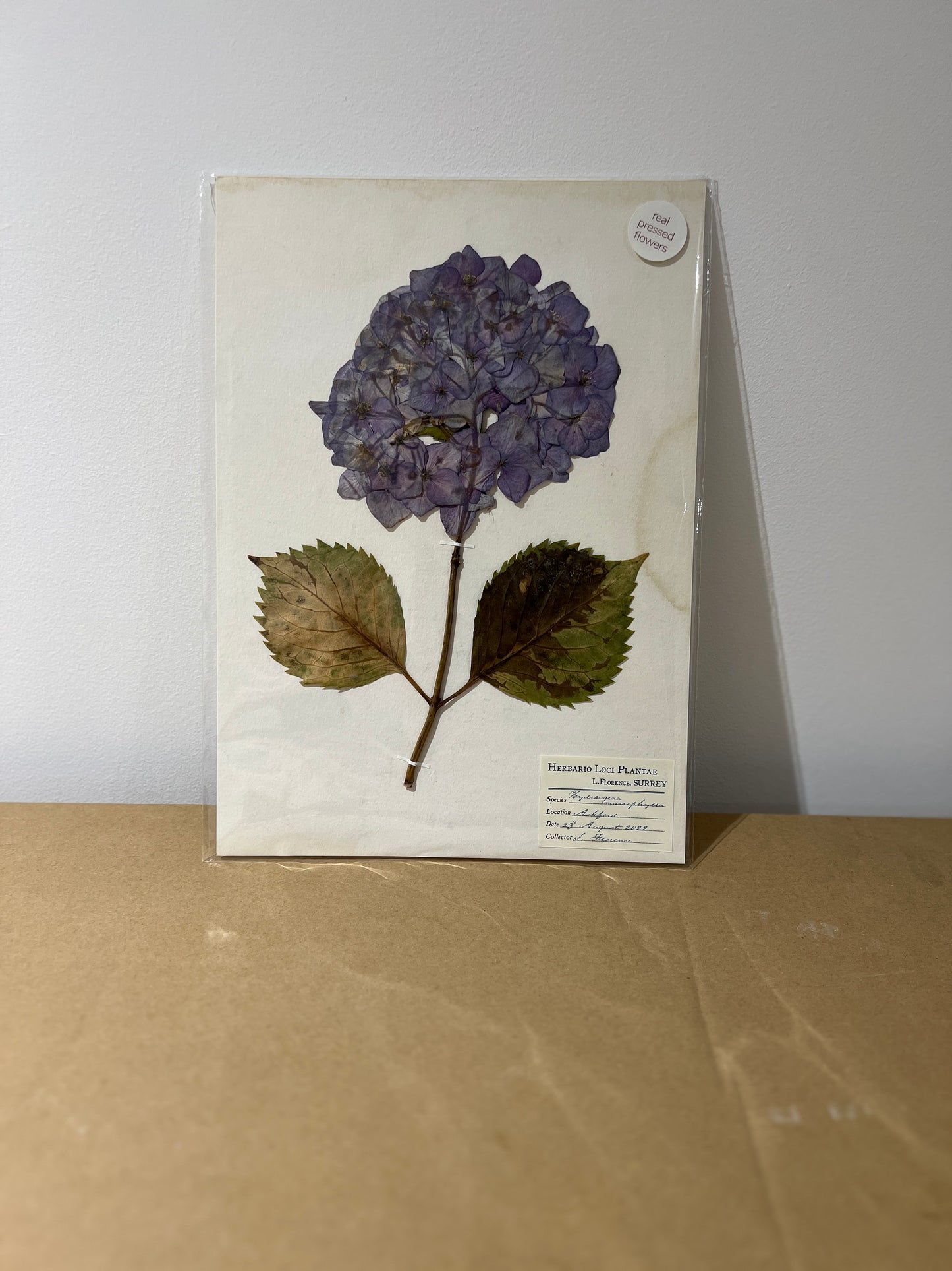 LF Unframed Pressed Flower Print