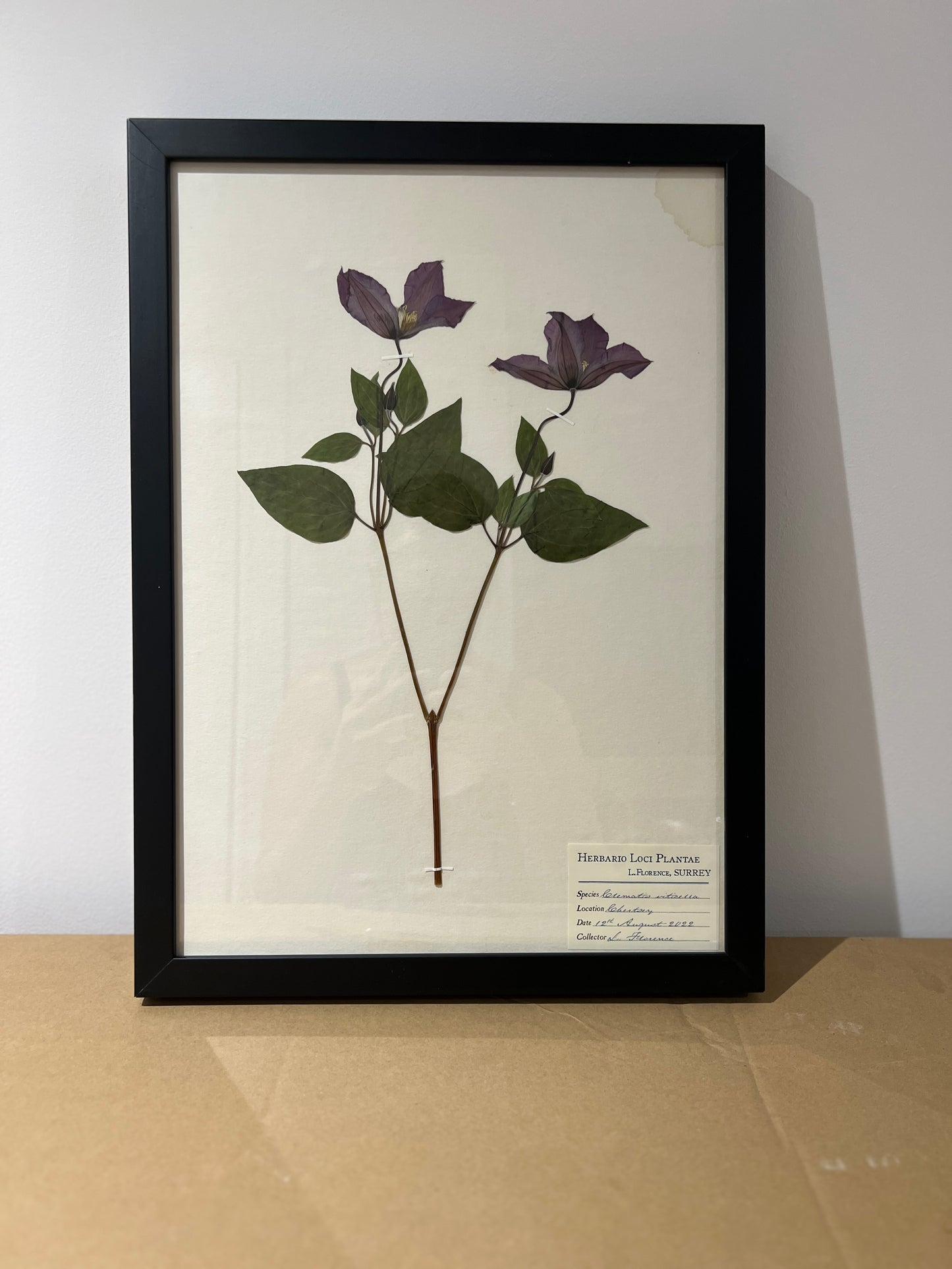 LF Framed Pressed Flower Print