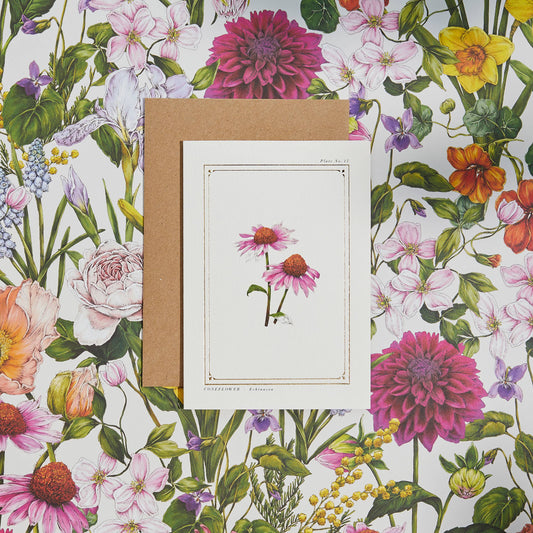 Echinacea Card