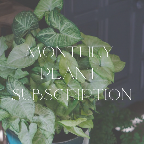 Plant Subscription