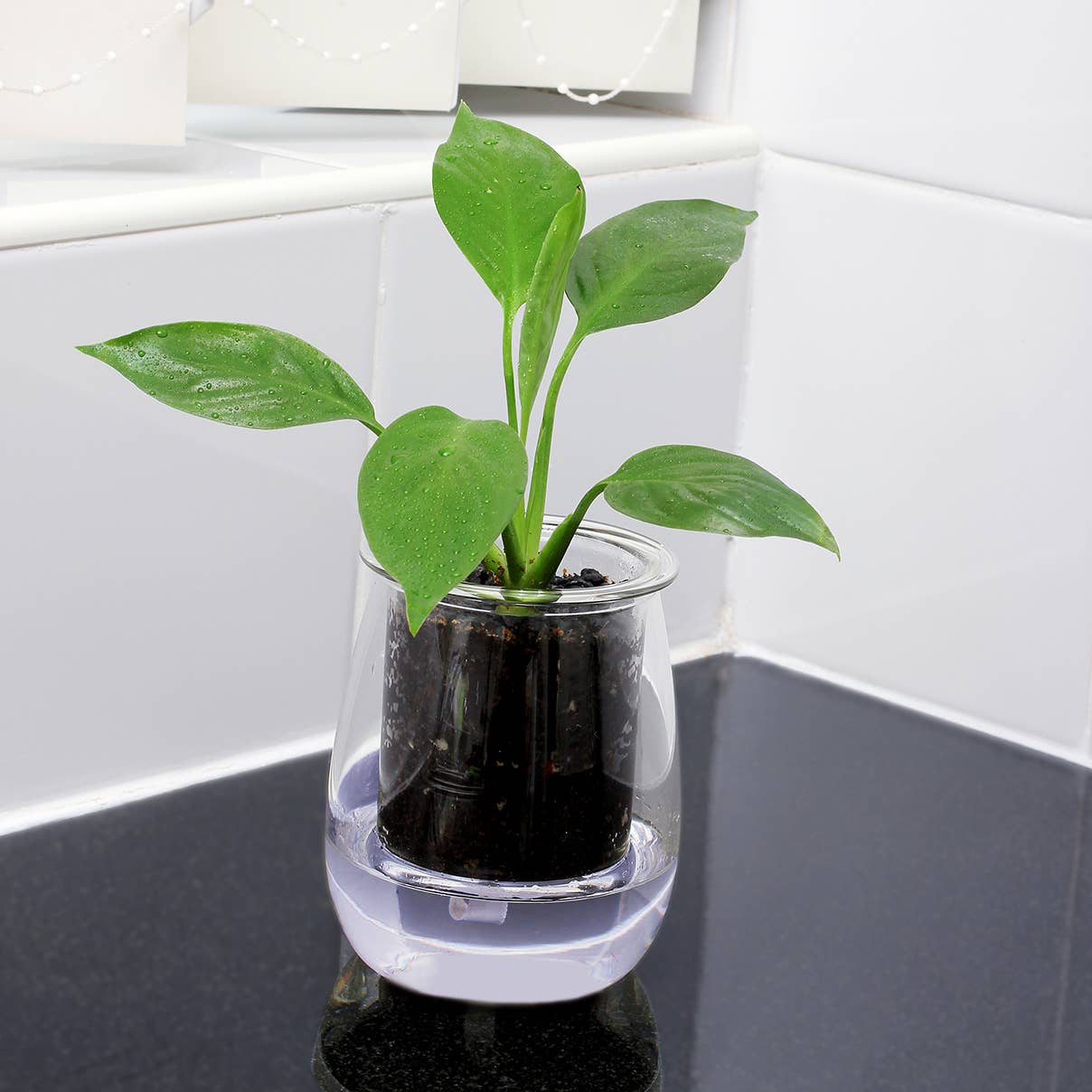 Mini Self-Watering Planter