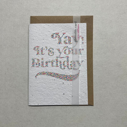 Yay It's Your birthday Dots Card