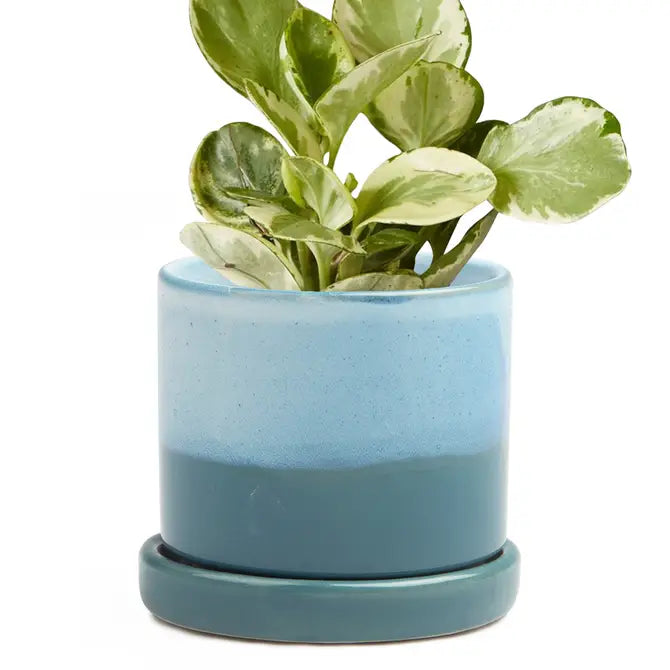 Medium Ceramic Glazed Pot with Saucer