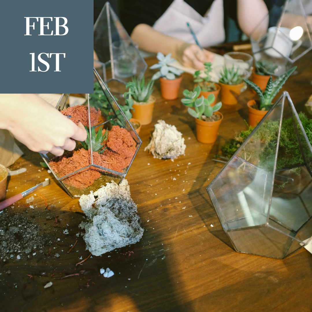 Terrarium Workshop