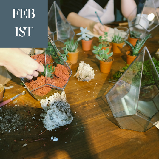 Terrarium Workshop