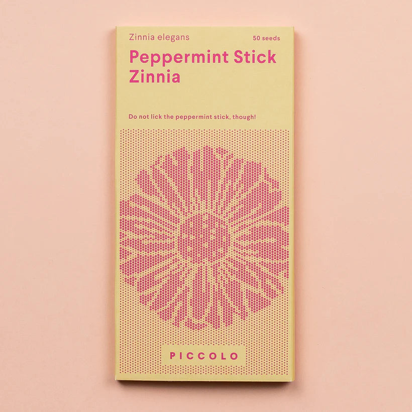 Peppermint Stick Zinnia