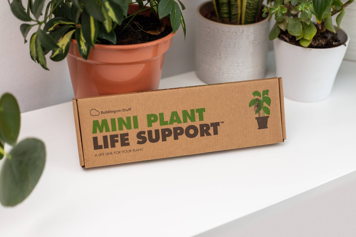 Mini Plant Life Support
