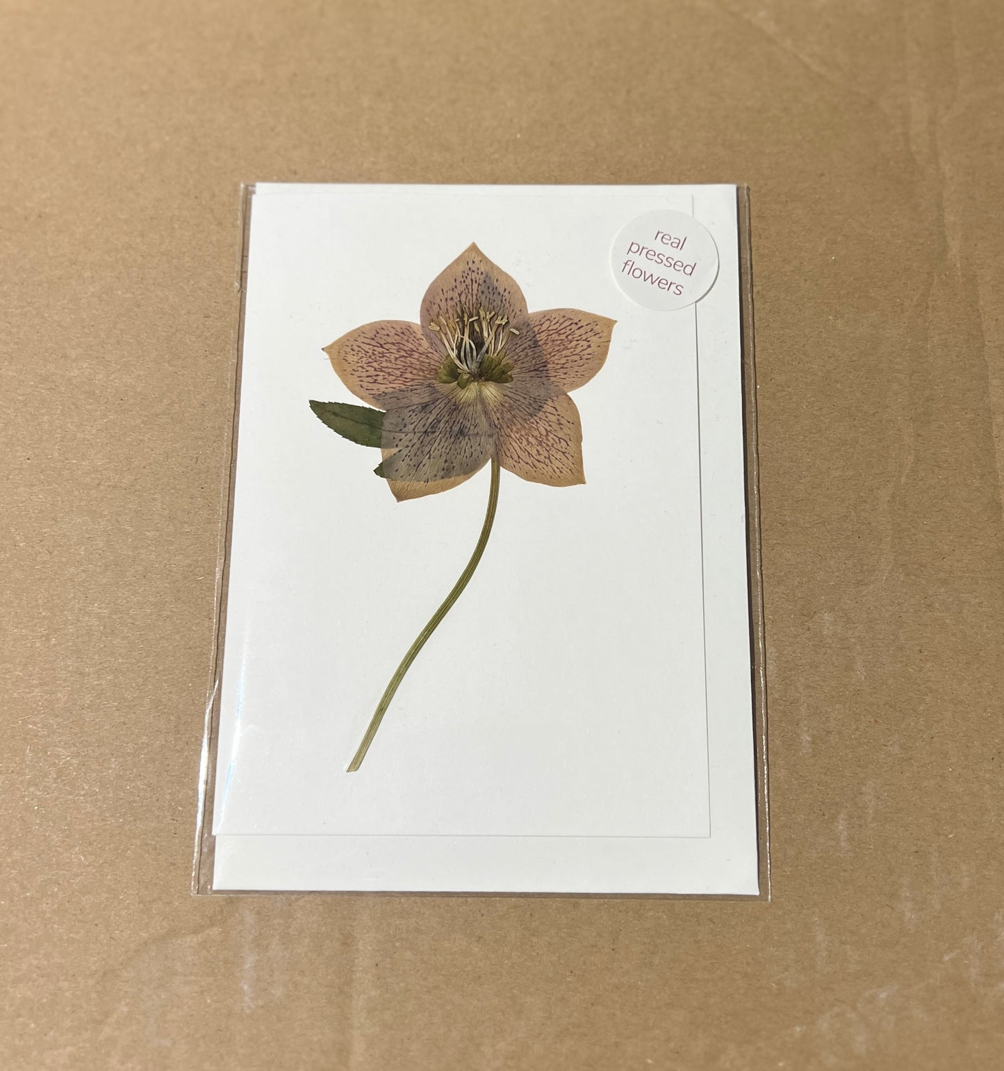 LF Pressed Flower Greetings Card