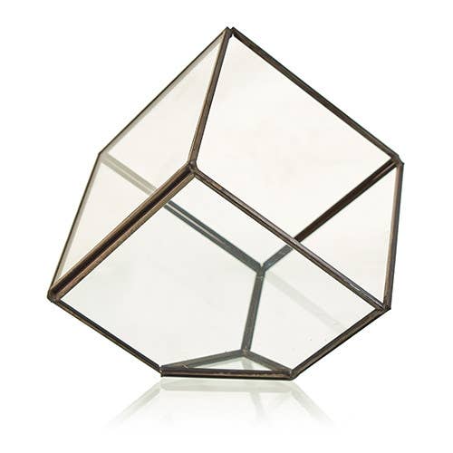 Terrarium - Cube on Corner