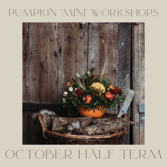 Pumpkin 'Mini' Workshops