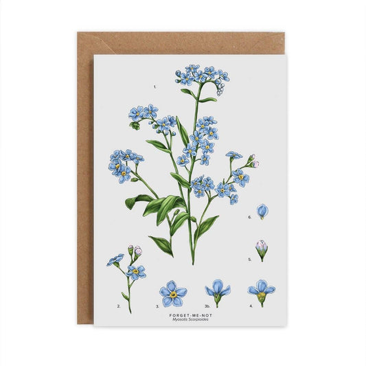 Forget-me-Not Card
